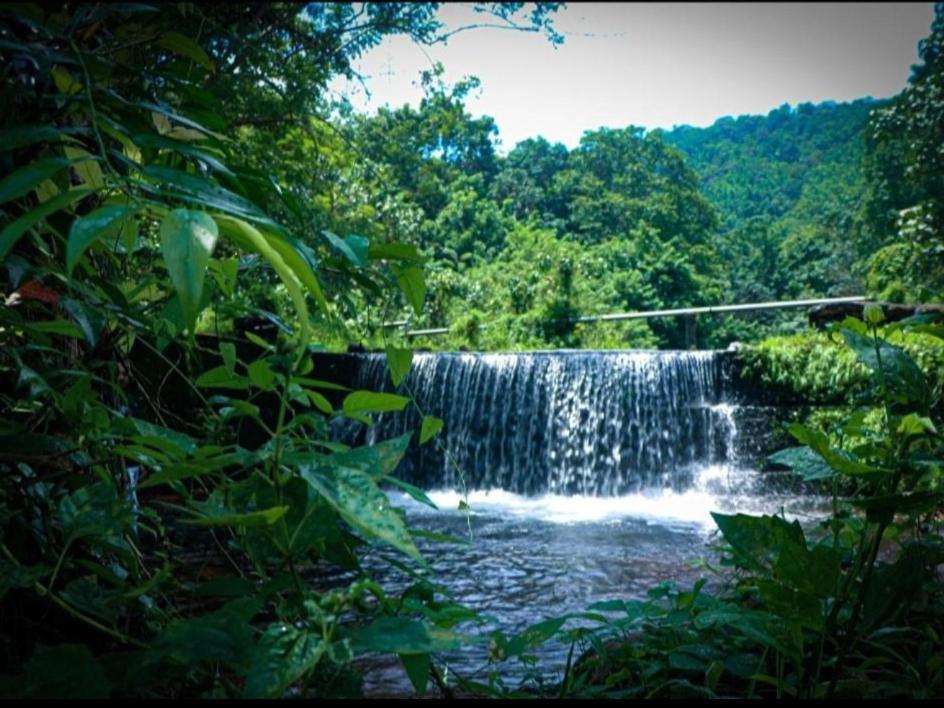 Nest Resorts Athirappilly Buitenkant foto