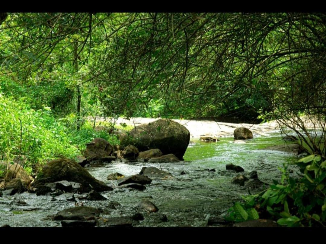 Nest Resorts Athirappilly Buitenkant foto